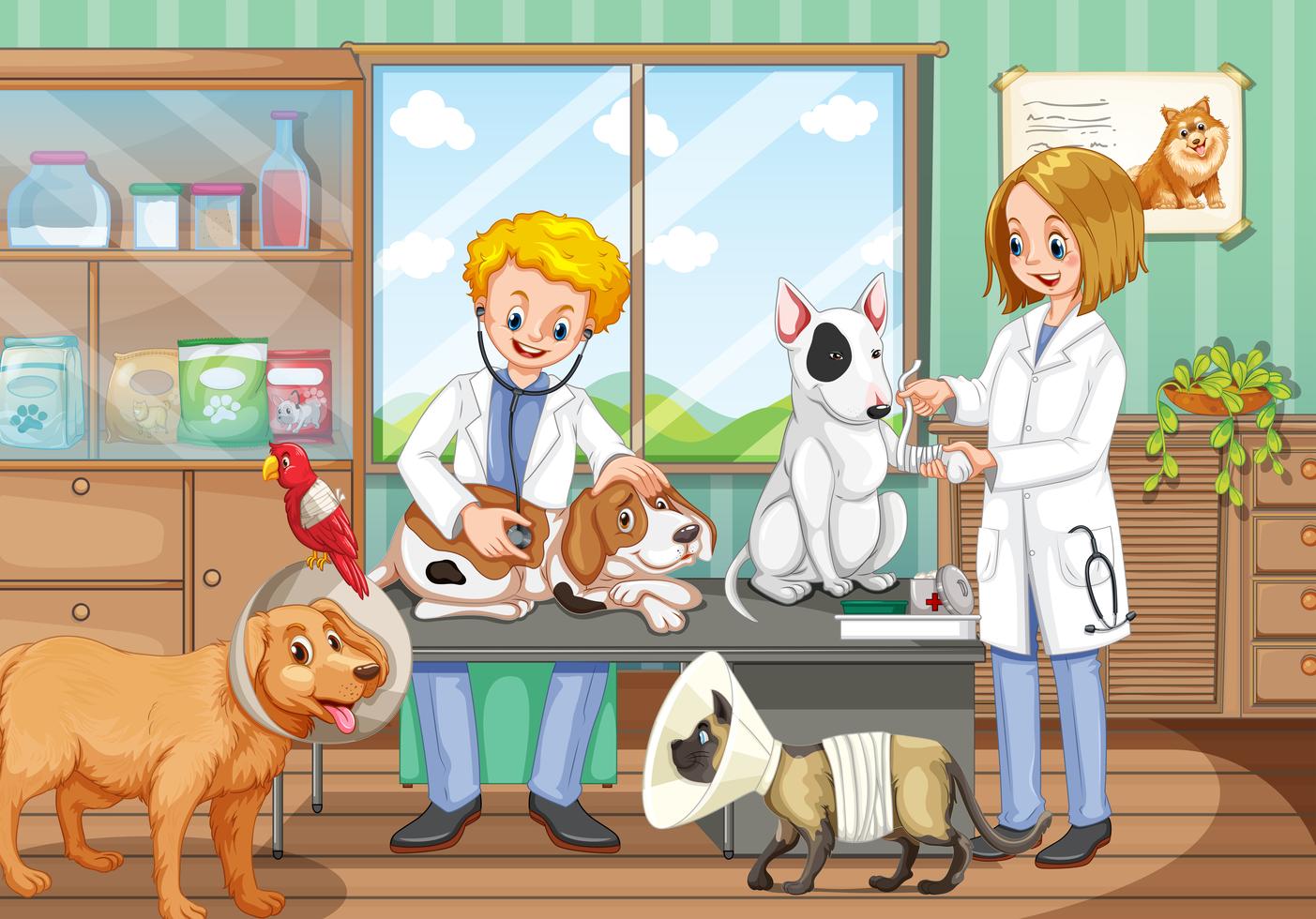 Mascota en veterinario